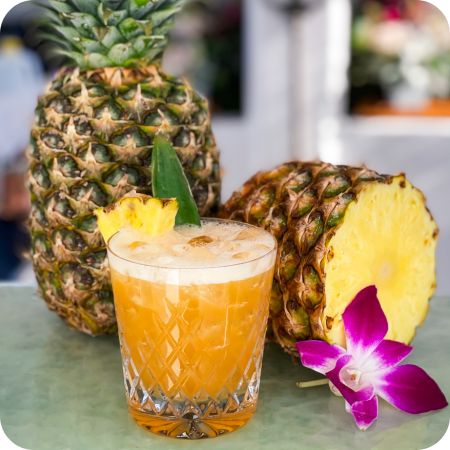 athena boat rental drinks